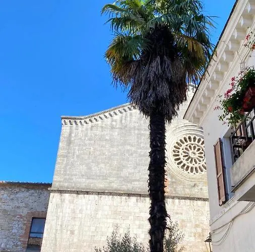 44 - Mu Ni Gasthuis Amelia